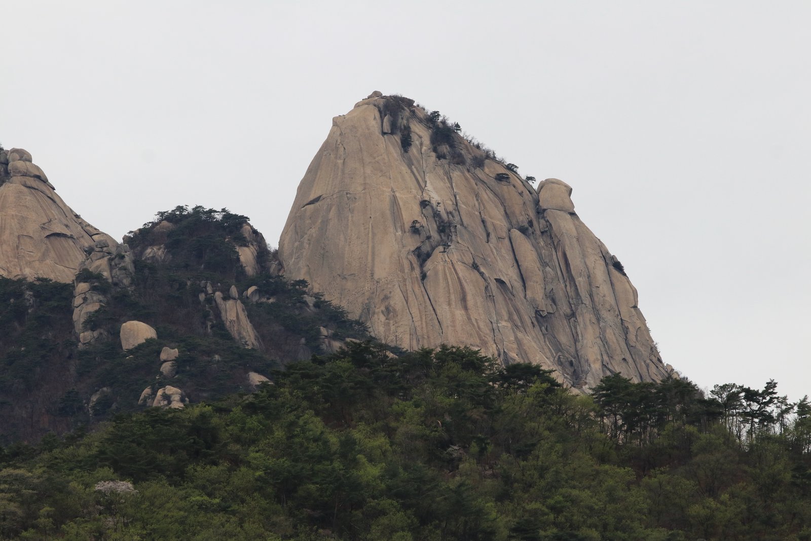 Granite dome of Insubong Peak rising above forest in Bukhansan National Park, Seoul