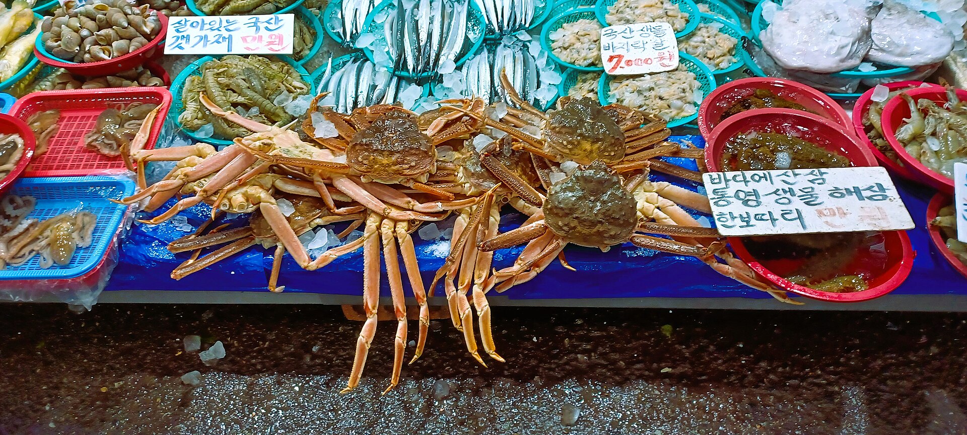 Archive seafood display at Mangwon Market, April 2023. Visible price signs are not current prices.