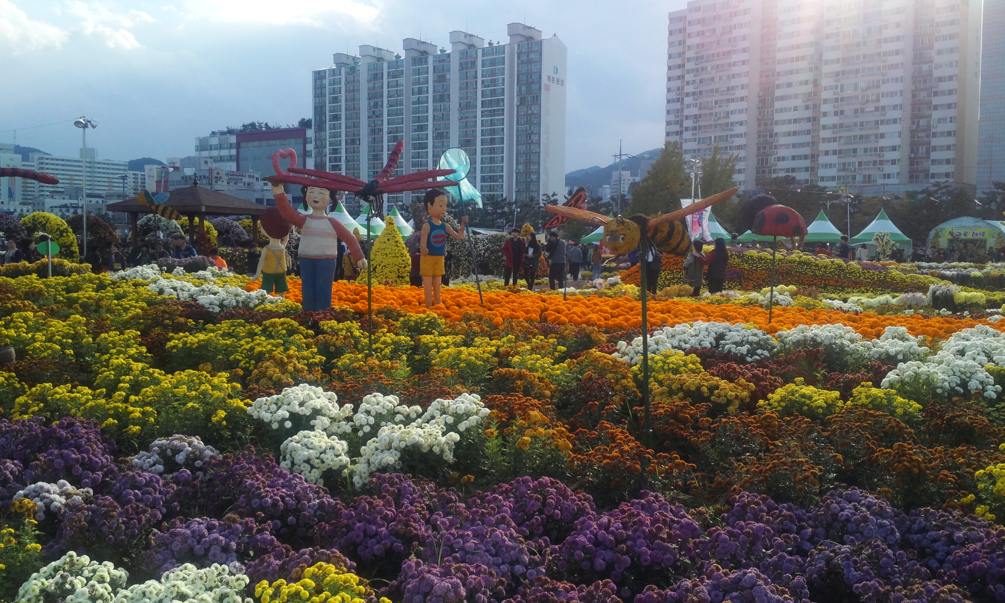 November 2014 archive photograph; not the 2026 venue layout or bloom conditions.
