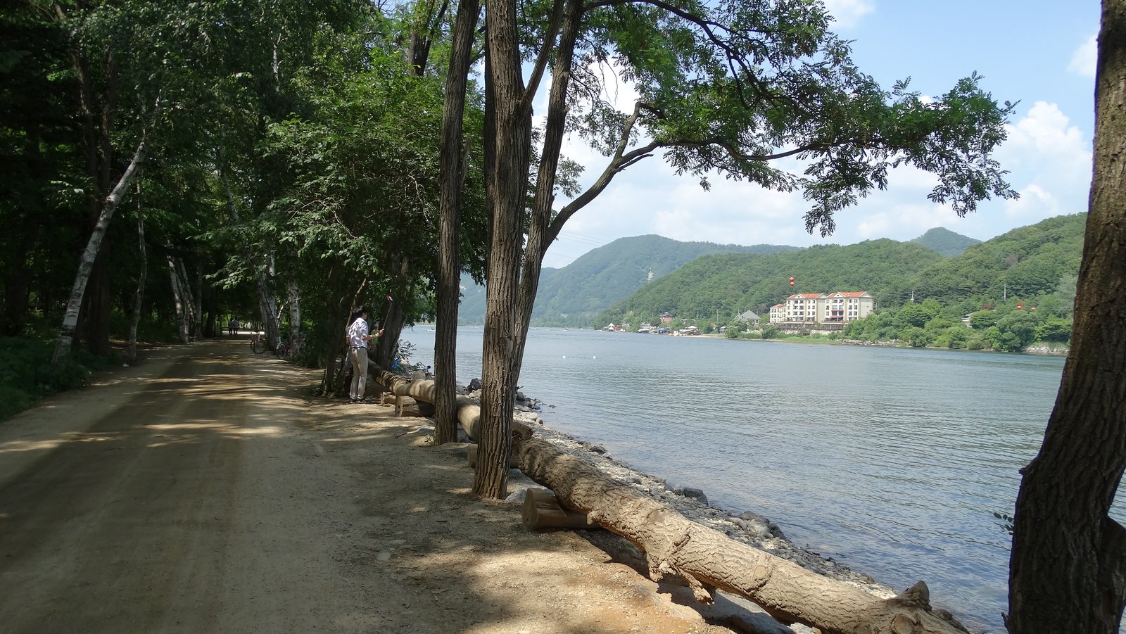 Tree-lined riverside path on Nami Island with the Bukhan River and mountains behind