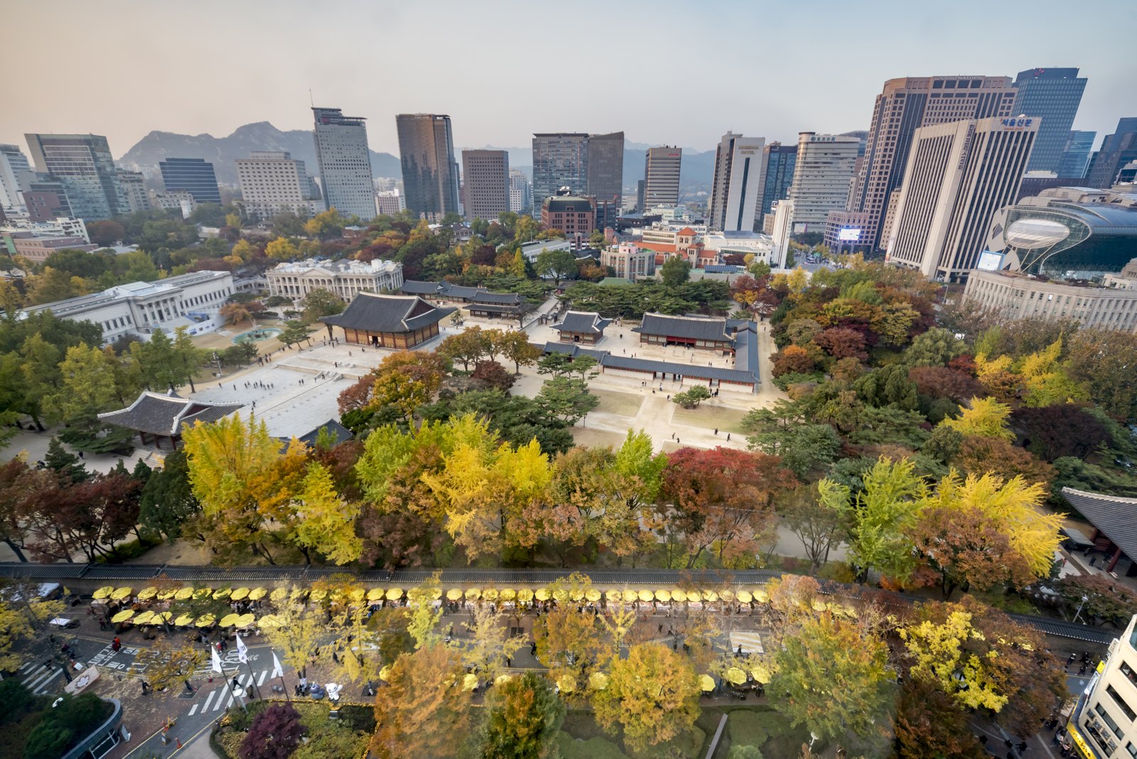 Deoksugung Palace and its ginkgo-lined stone wall in autumn colour, seen from above with downtown Seoul behind
